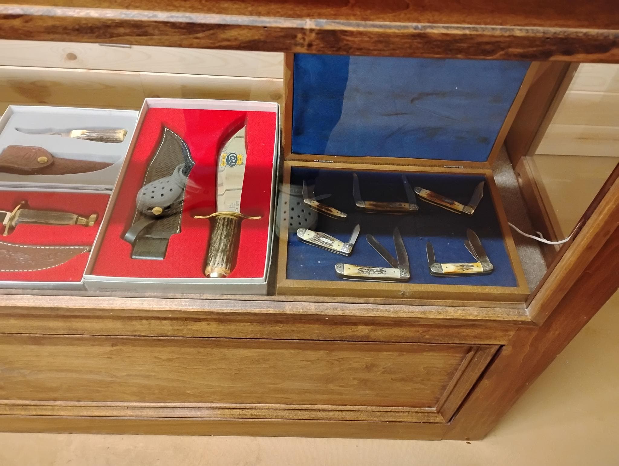 Case xx folding pocket knives with jigged-bone and stag handles on blue velvet.